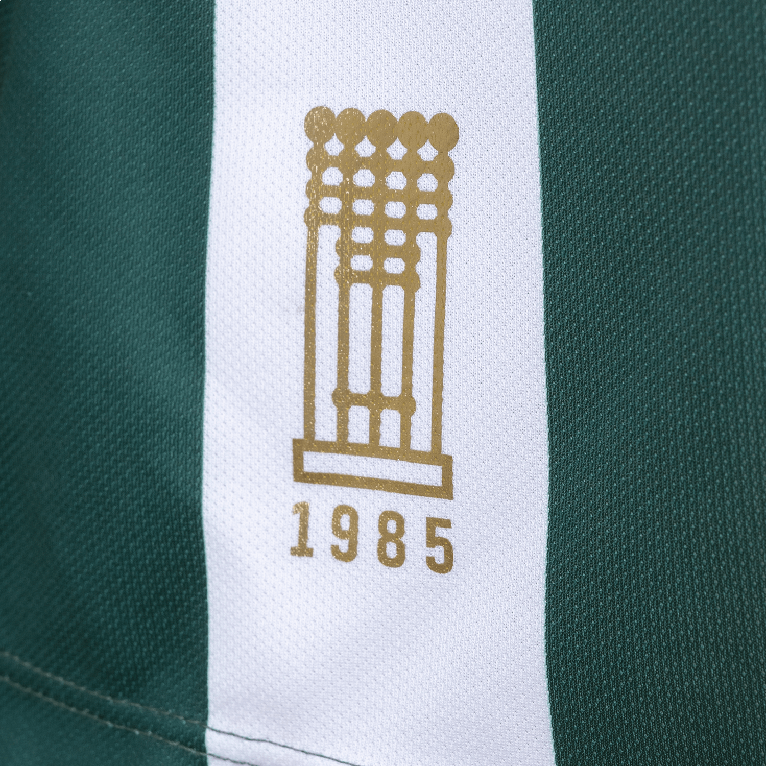 Camisa Coritiba Jogadeira Fan Feminina 2025