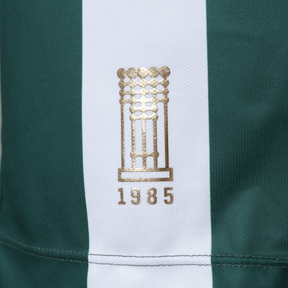 Camisa Coritiba Jogadeira Fan Masculina 2025